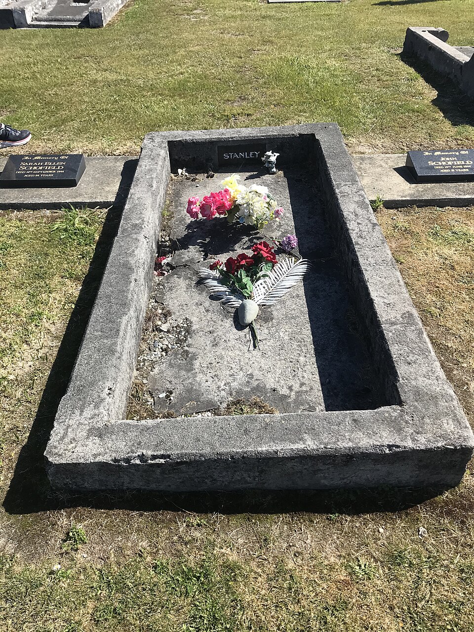 James D’Arcy Quirke
