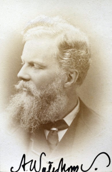 Jane Waterhouse