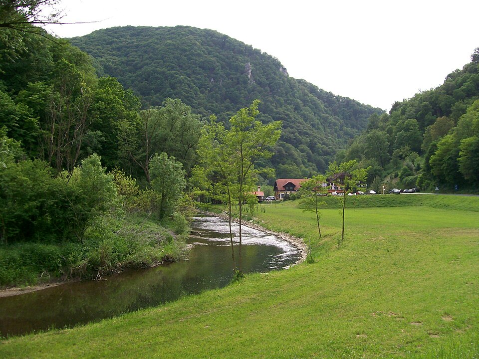 Janez Toni