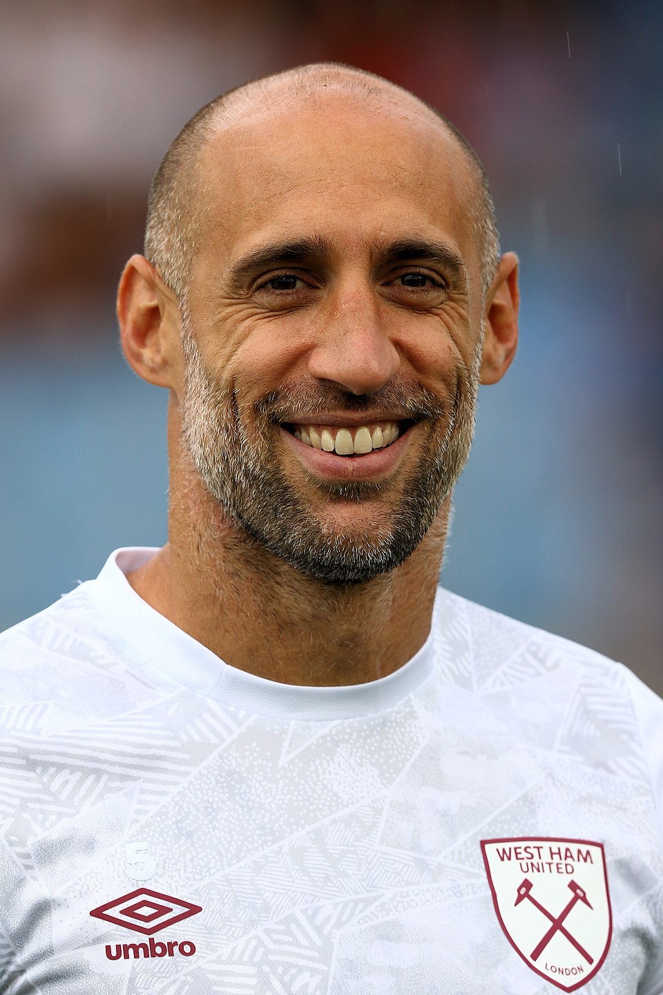 Javier Zabaleta