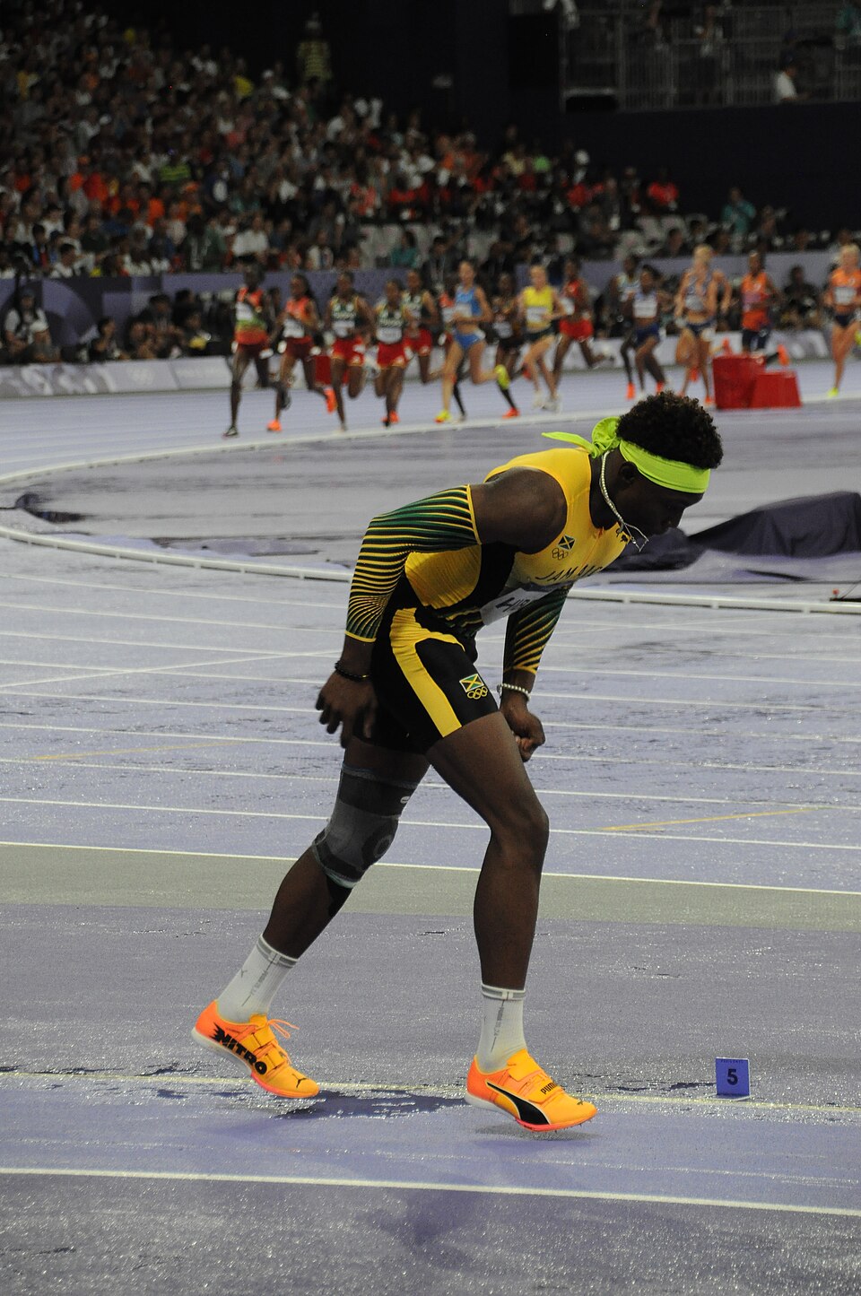 Jaydon Hibbert