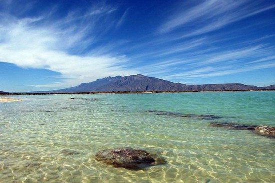 Jesús Antonio Piña Gutiérrez