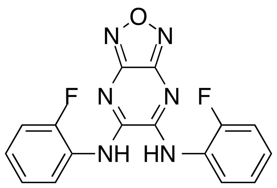 Jiraphorn
