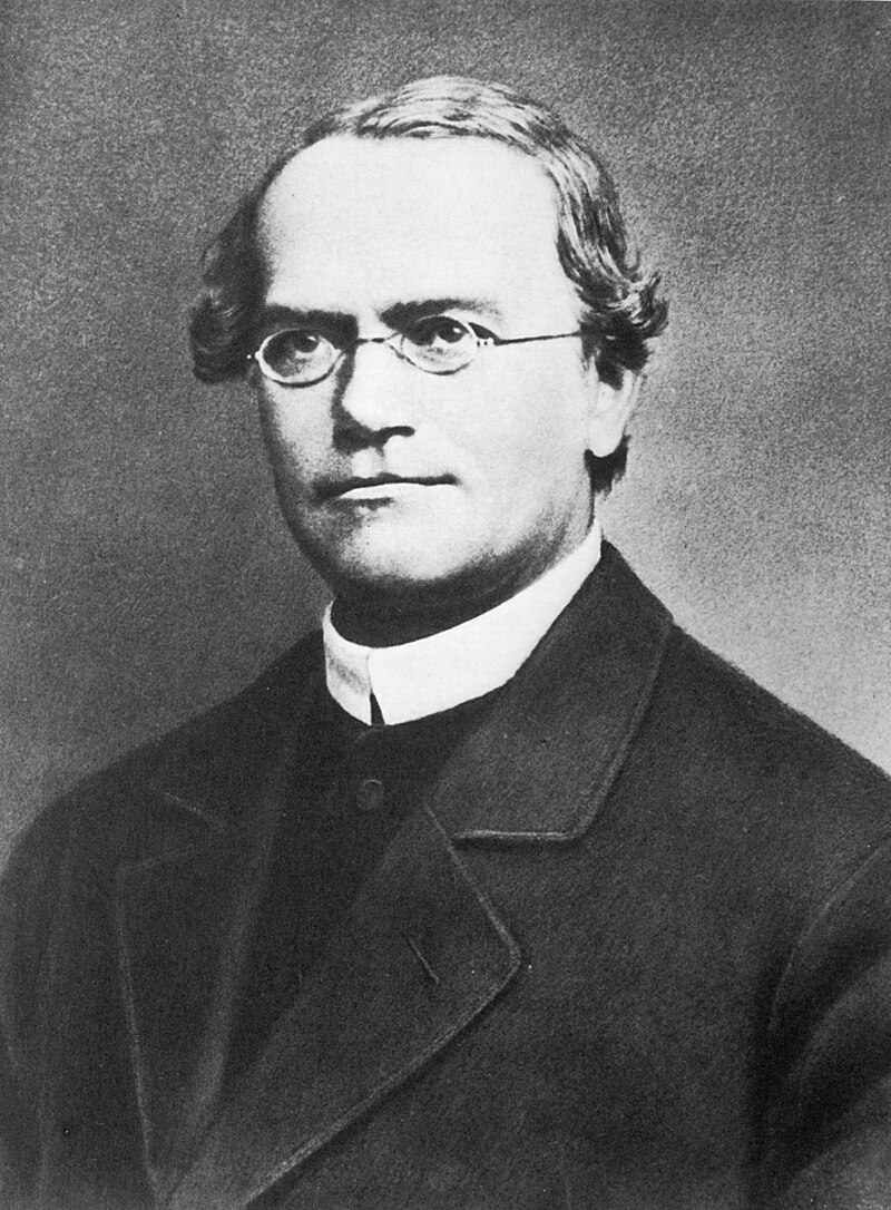 Johann Gregor Mendel