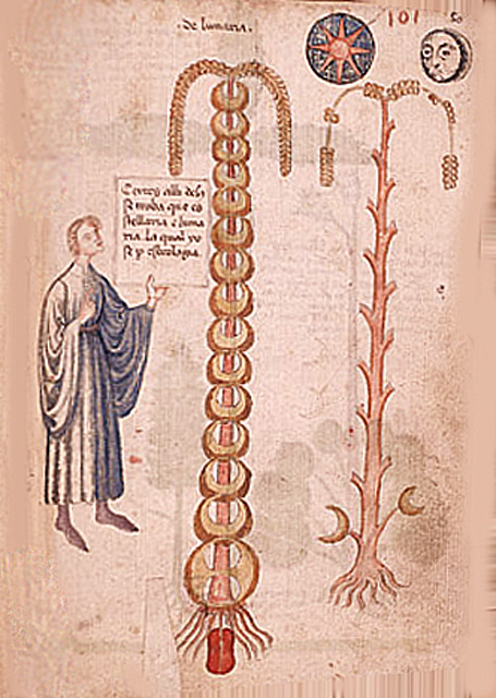 Johannes Kaup