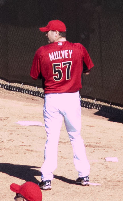 John Mulvey