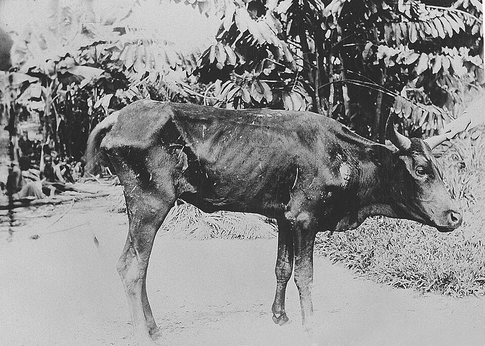 John Orindi