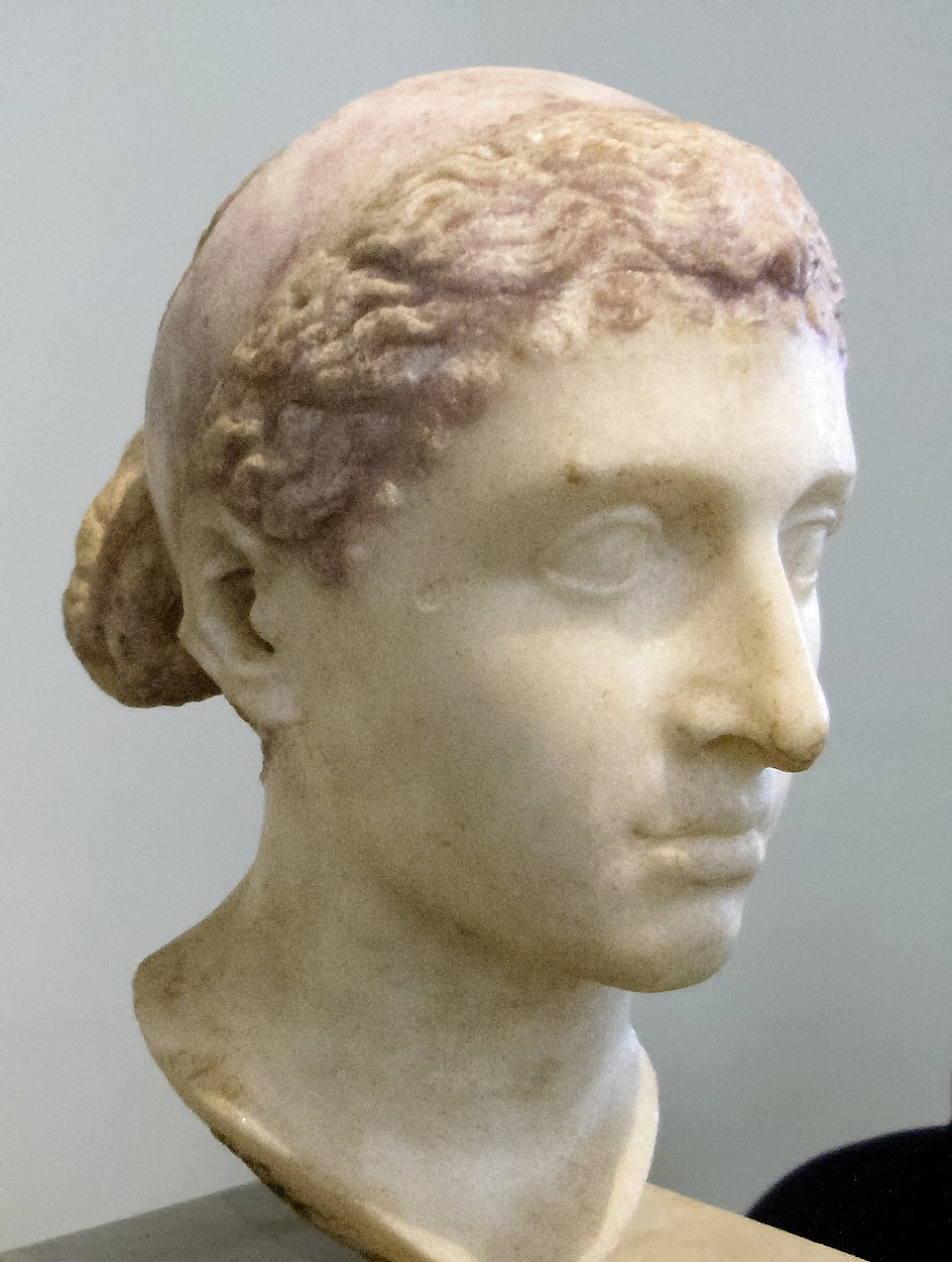 Jonas XII