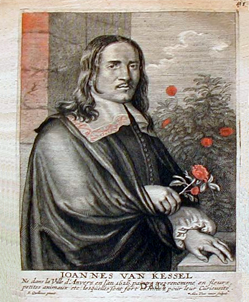 Joris Groeneveld