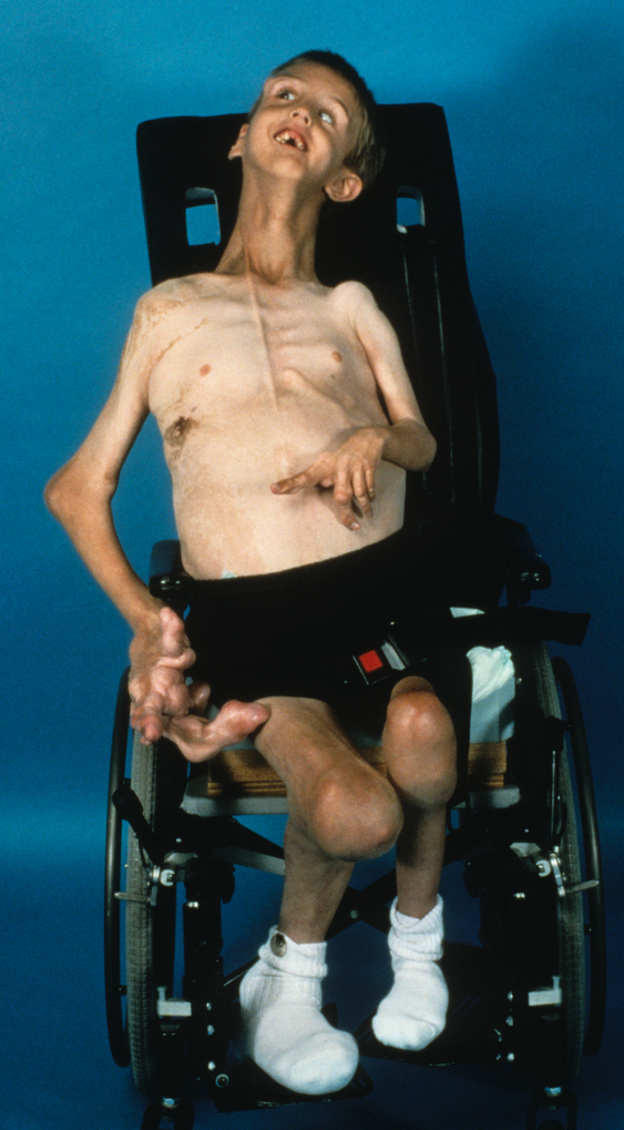 José Augusto Duarte