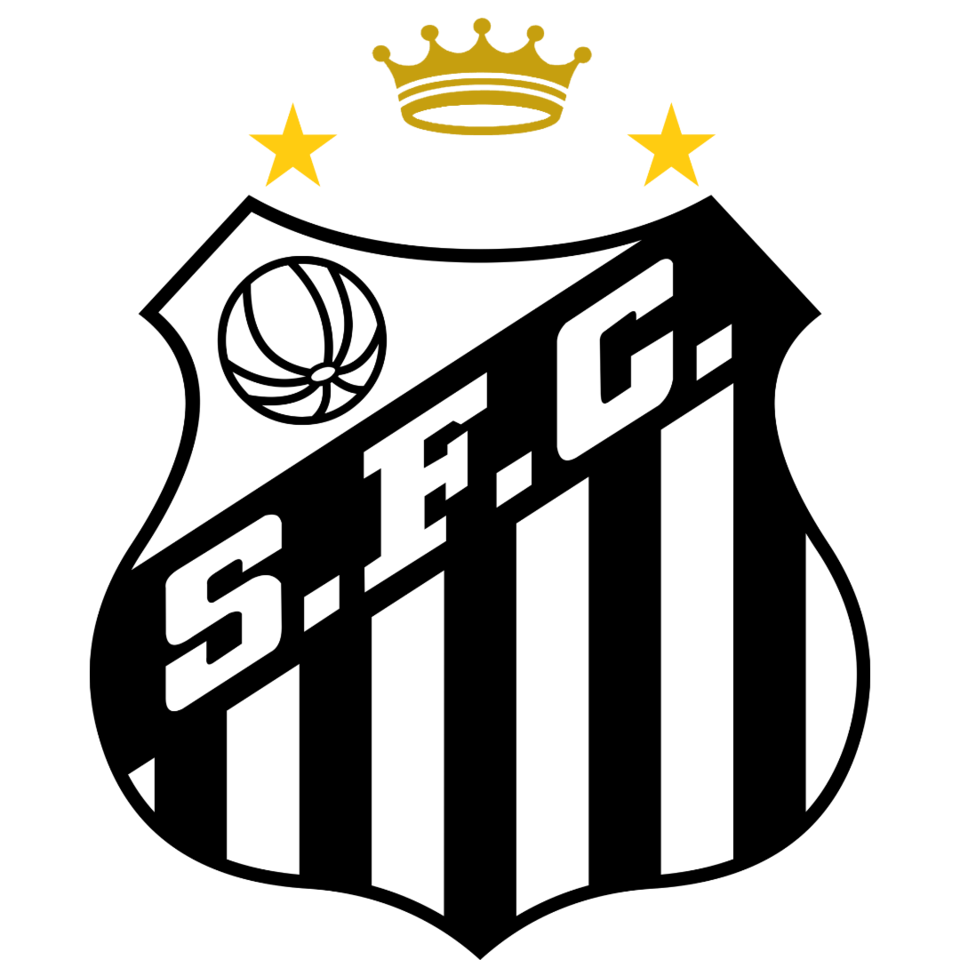 José Borges dos Santos Júnior
