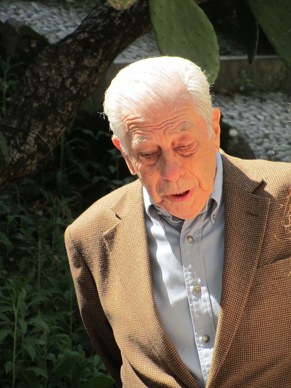 José Humberto Ribeiro