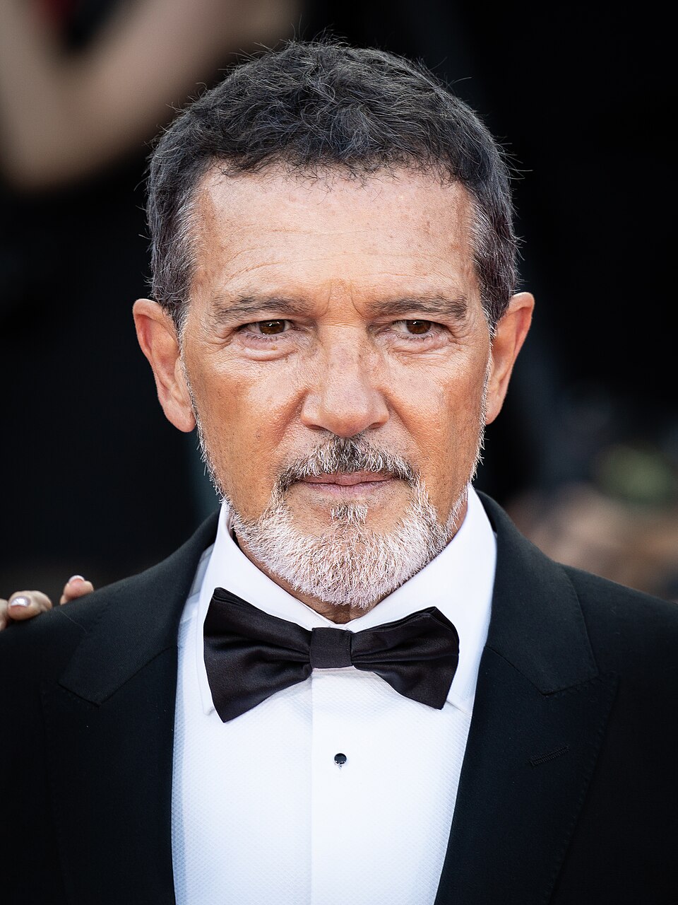 José Luis Domínguez