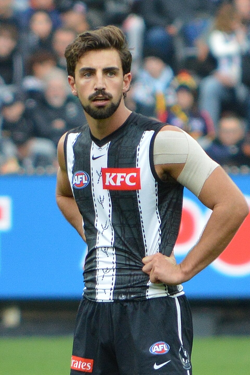 Josh Daicos