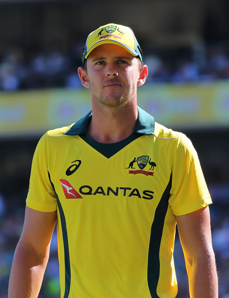 Josh Hazelwood