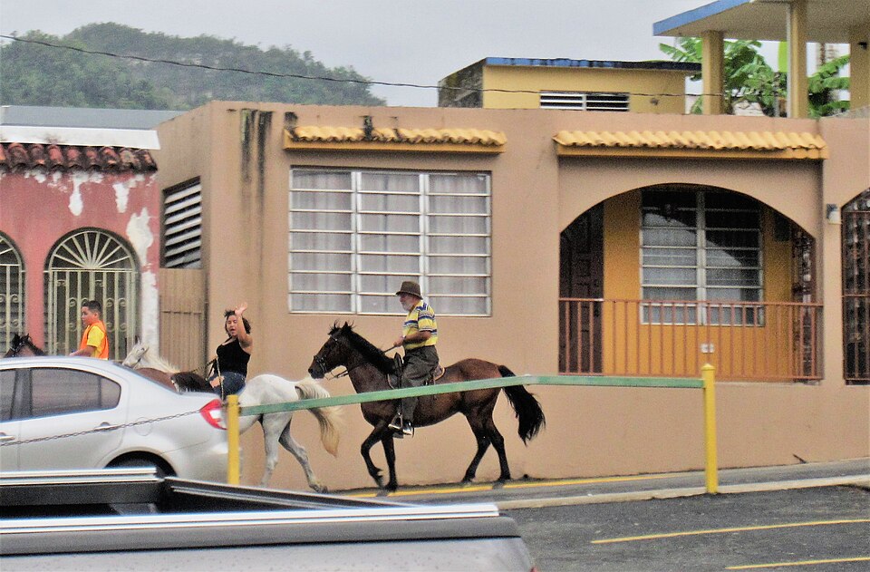 Jovino Barrios
