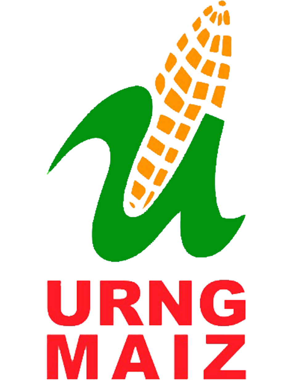 Juan Francisco Solórzano Foppa