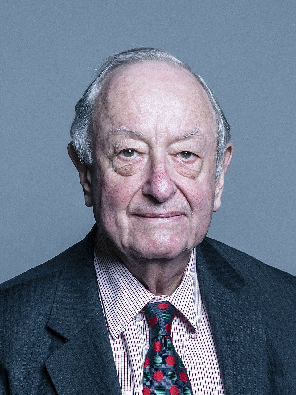 Justice Lester