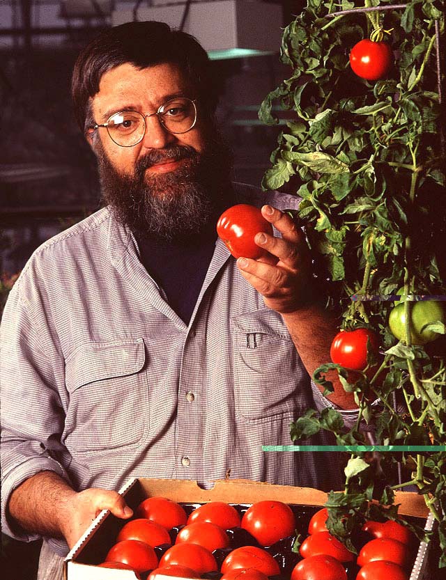 Justus Wesseler