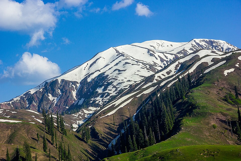 Karrar Haidri