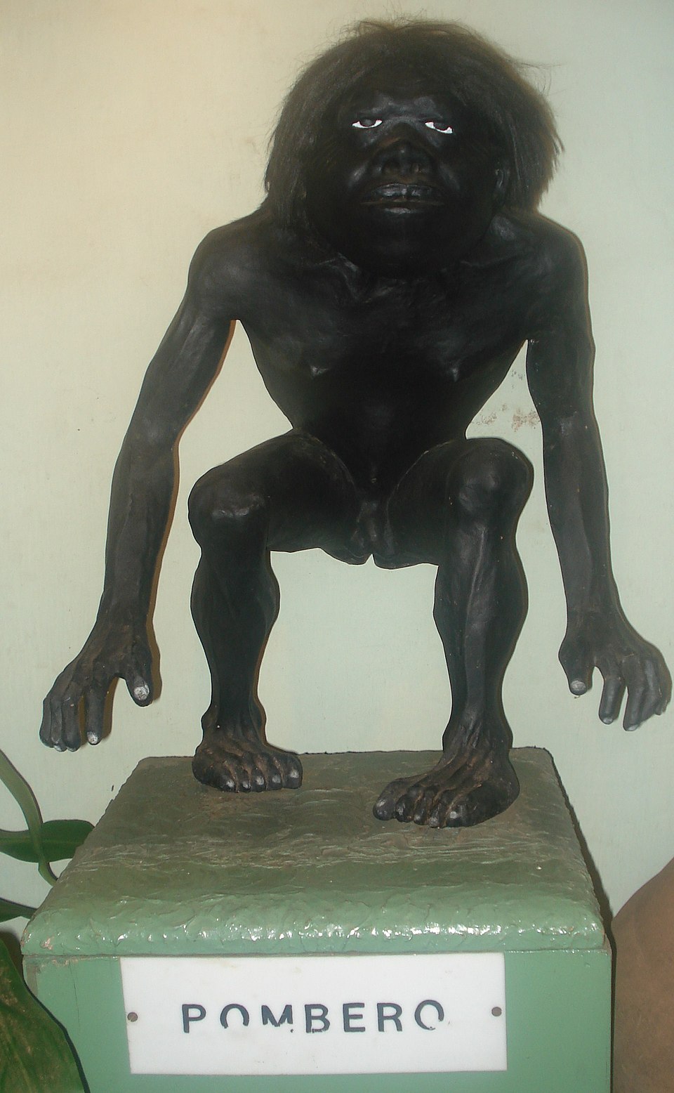 Kchiporros
