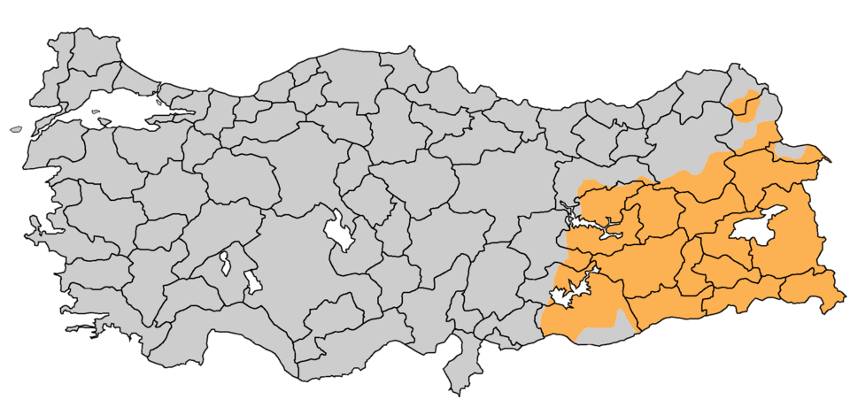 Kezban Hatemi