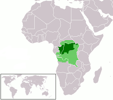 King Koyeba