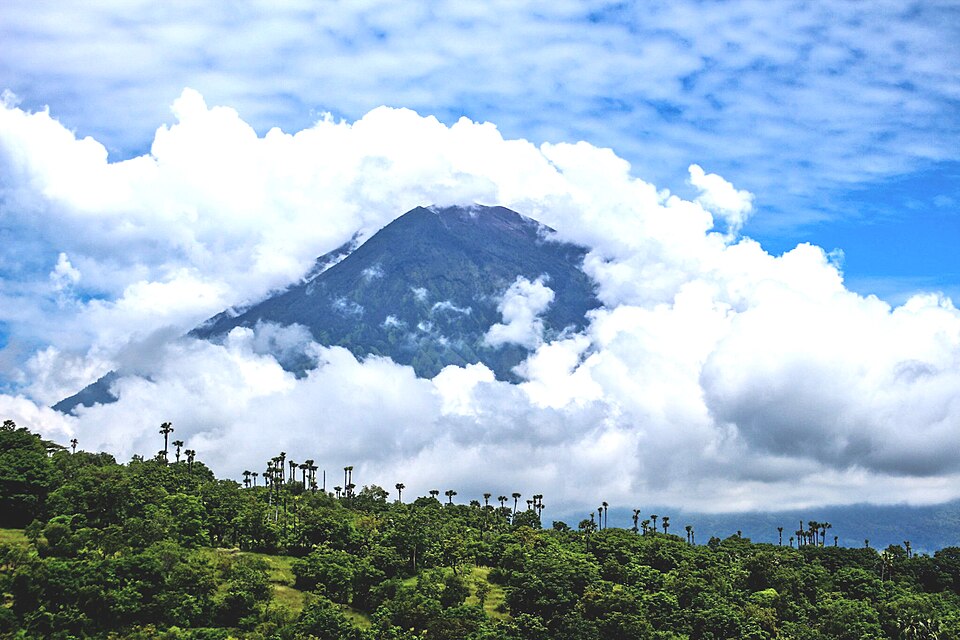 Komang Agus