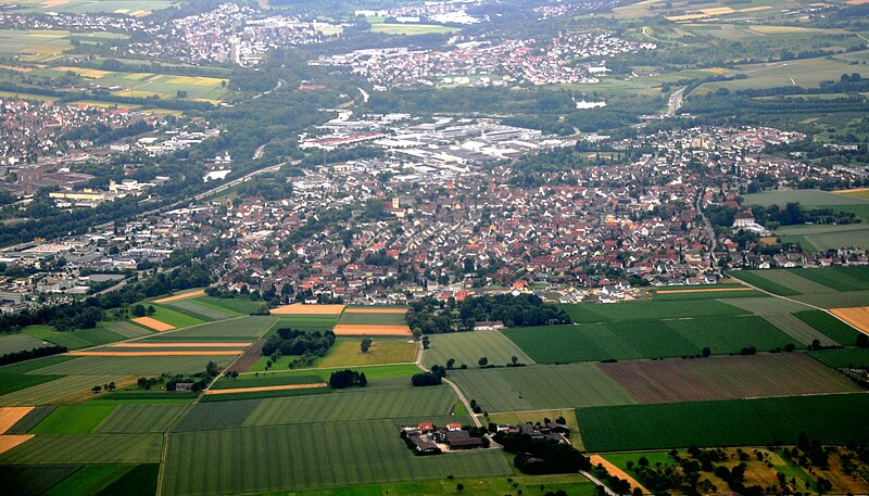 Kongen