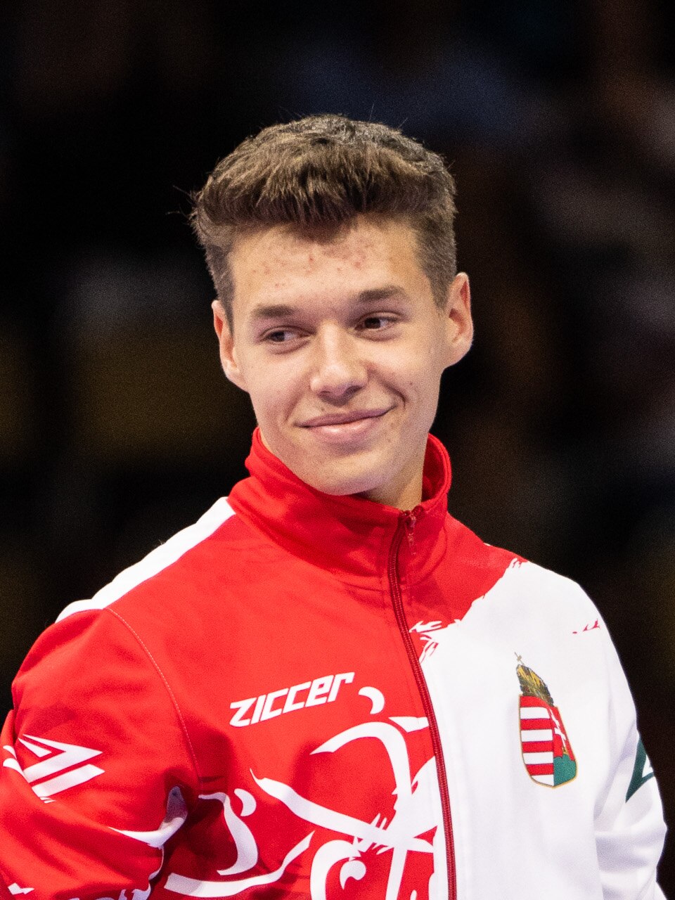 Krisztofer Meszaros