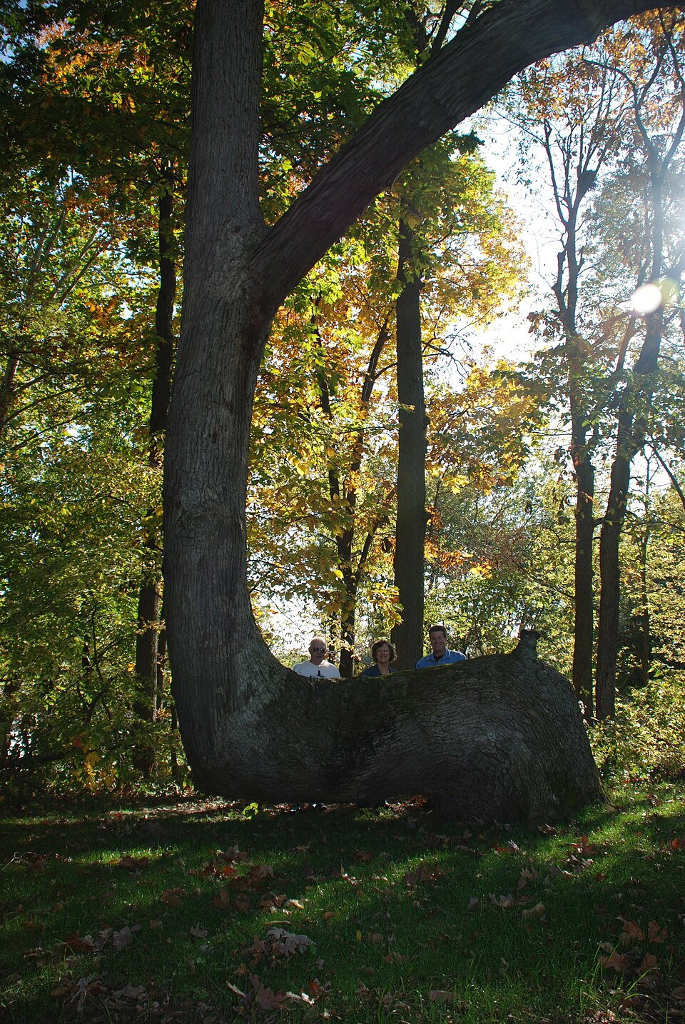 Ladislav R.