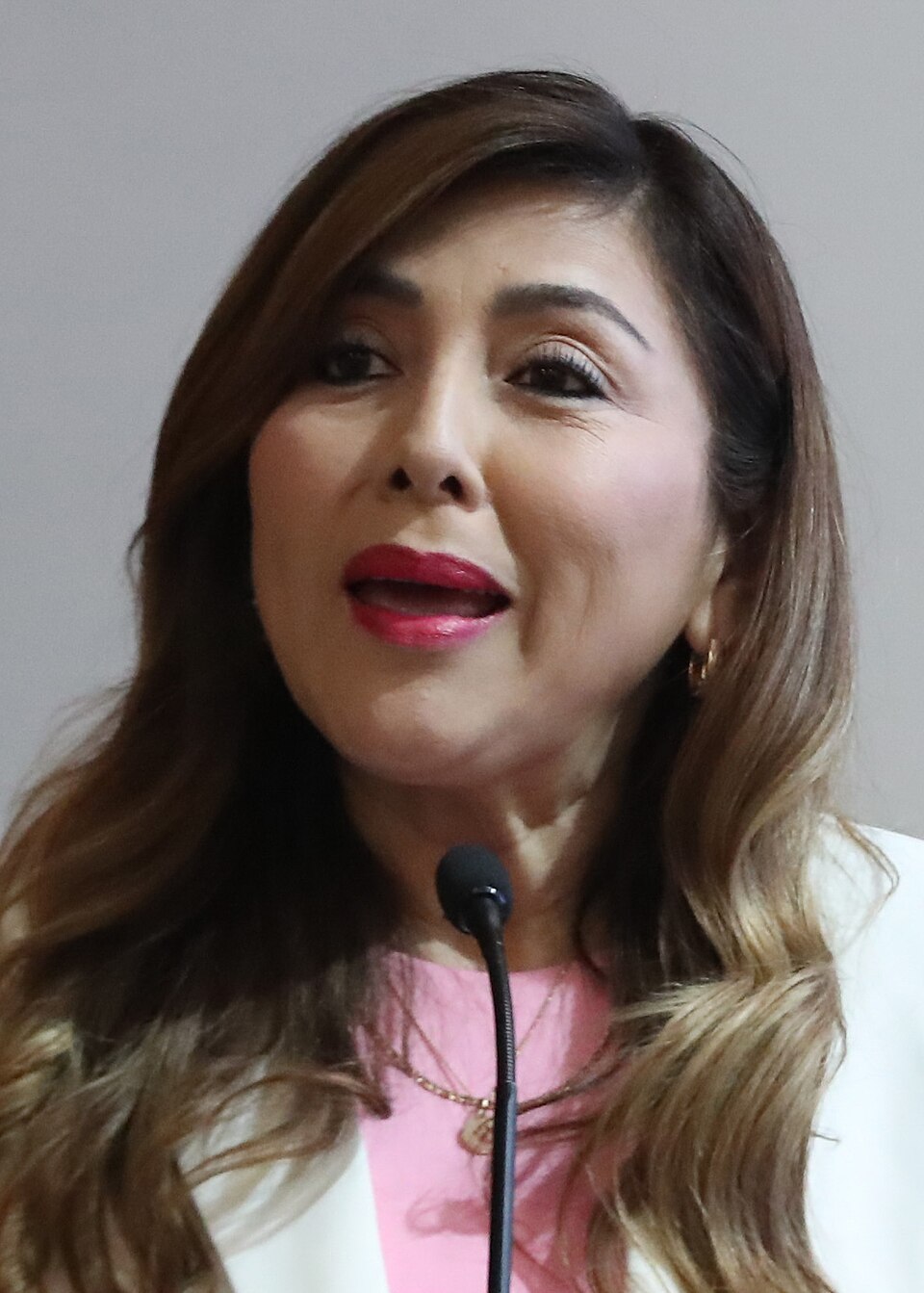 Lady Mercedes Camones Soriano