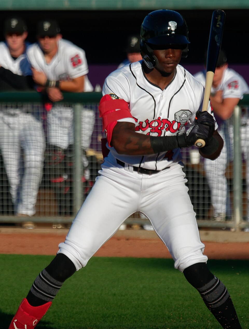 Lawrence Butler