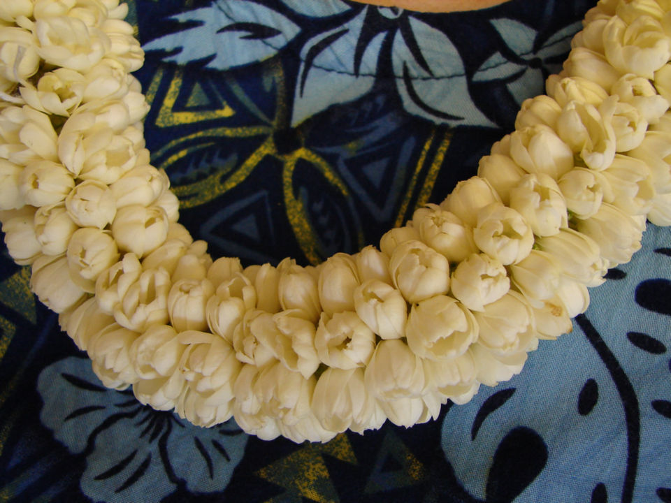 Lei Lei