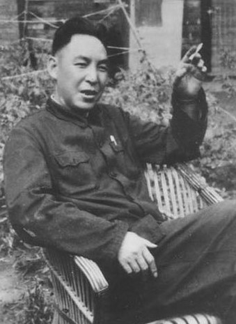 Li Shuli