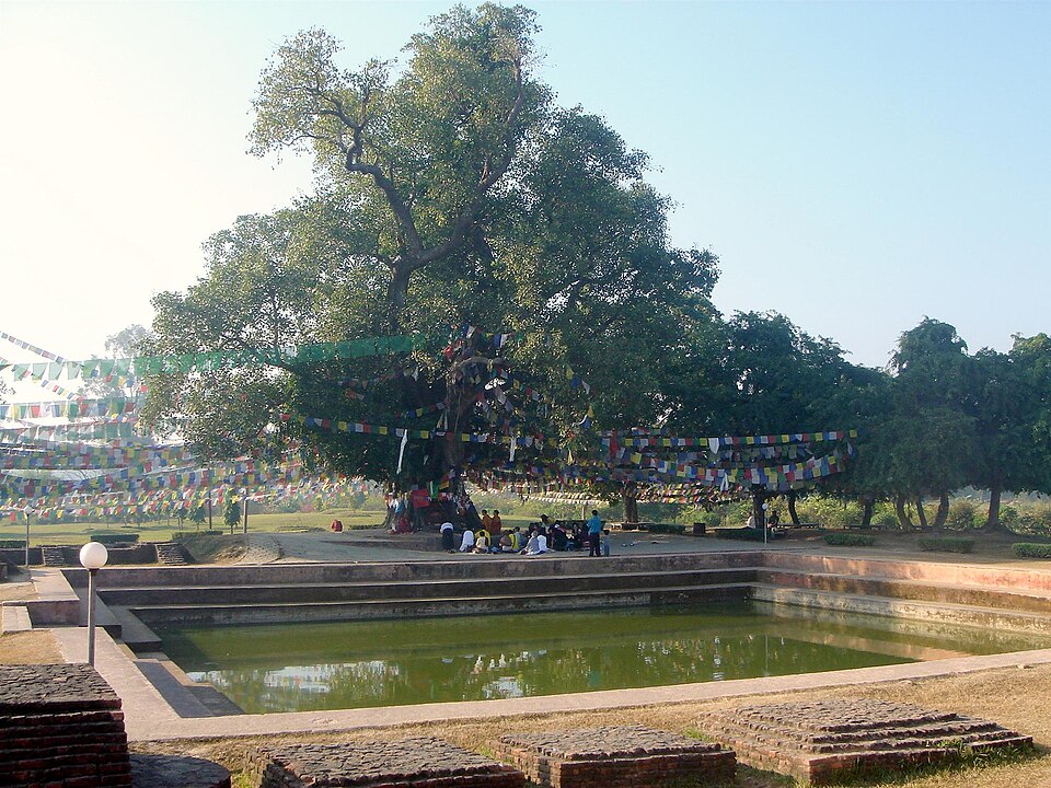 Lila Bhujel