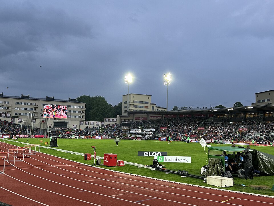 Line Aaltvedt