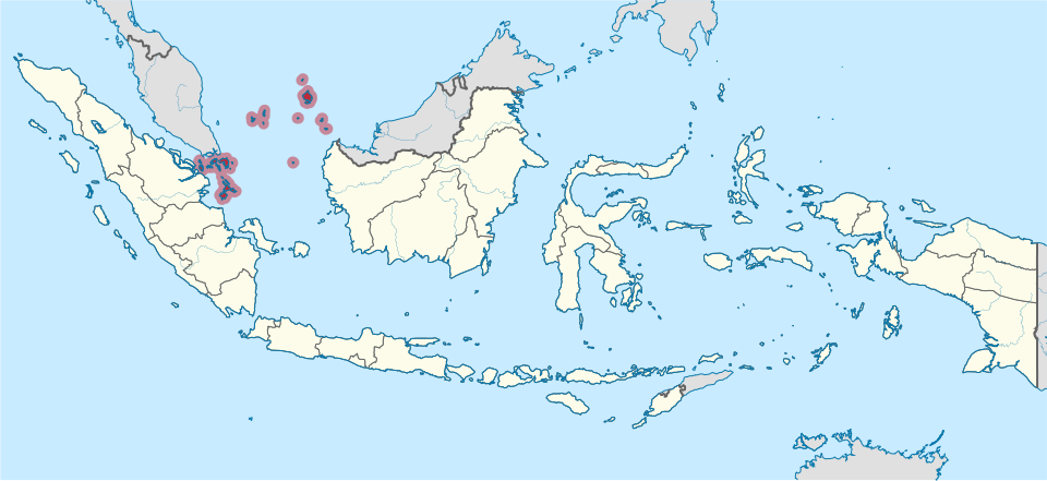 Lingga Sari