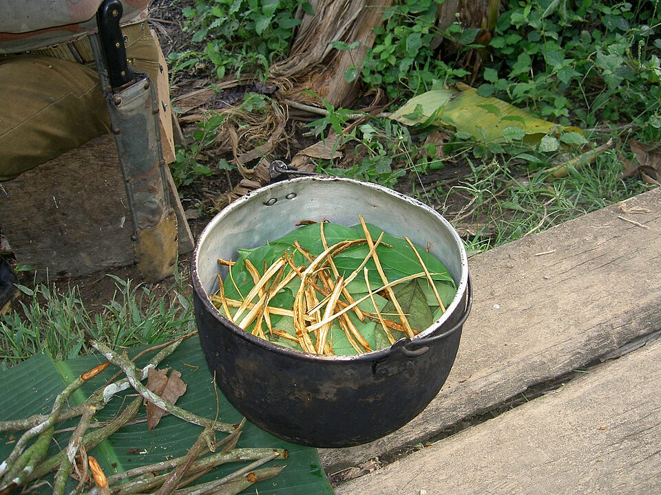 Liu Yajing