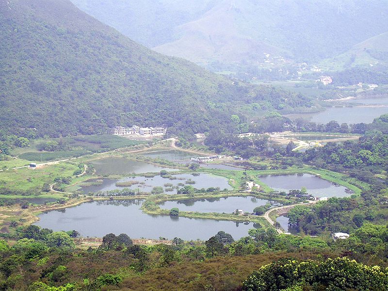 Lo Cheng-chung