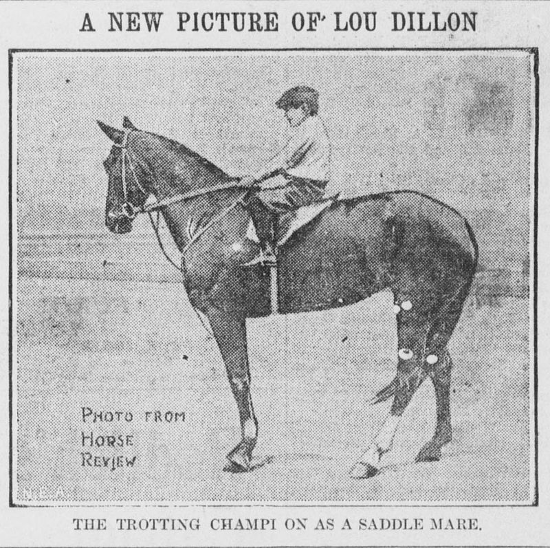 Lou Dillon