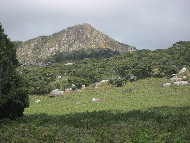 Lourenço Bulha