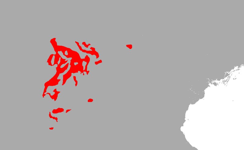 Lữ Khâm