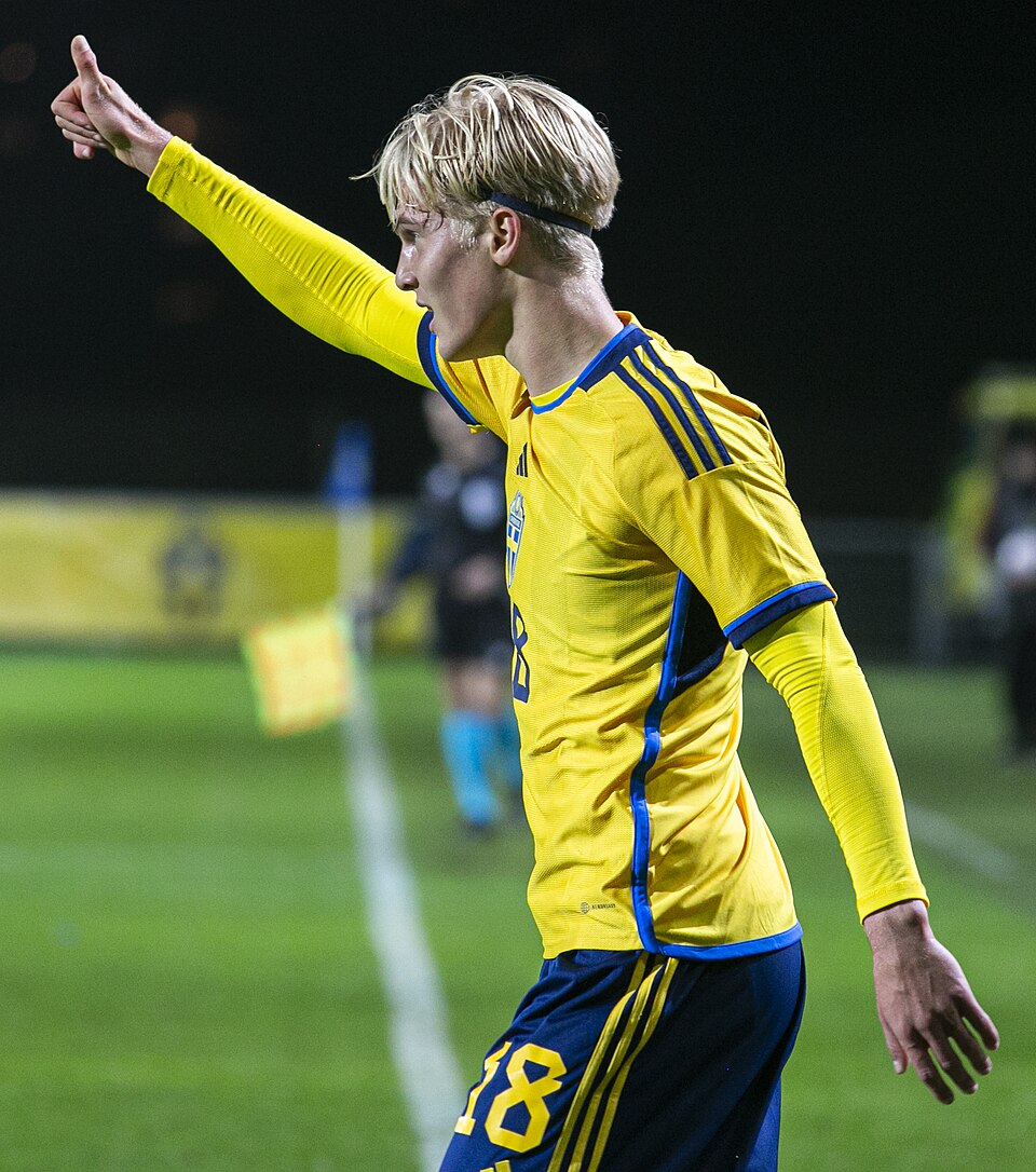 Luca Bergvall