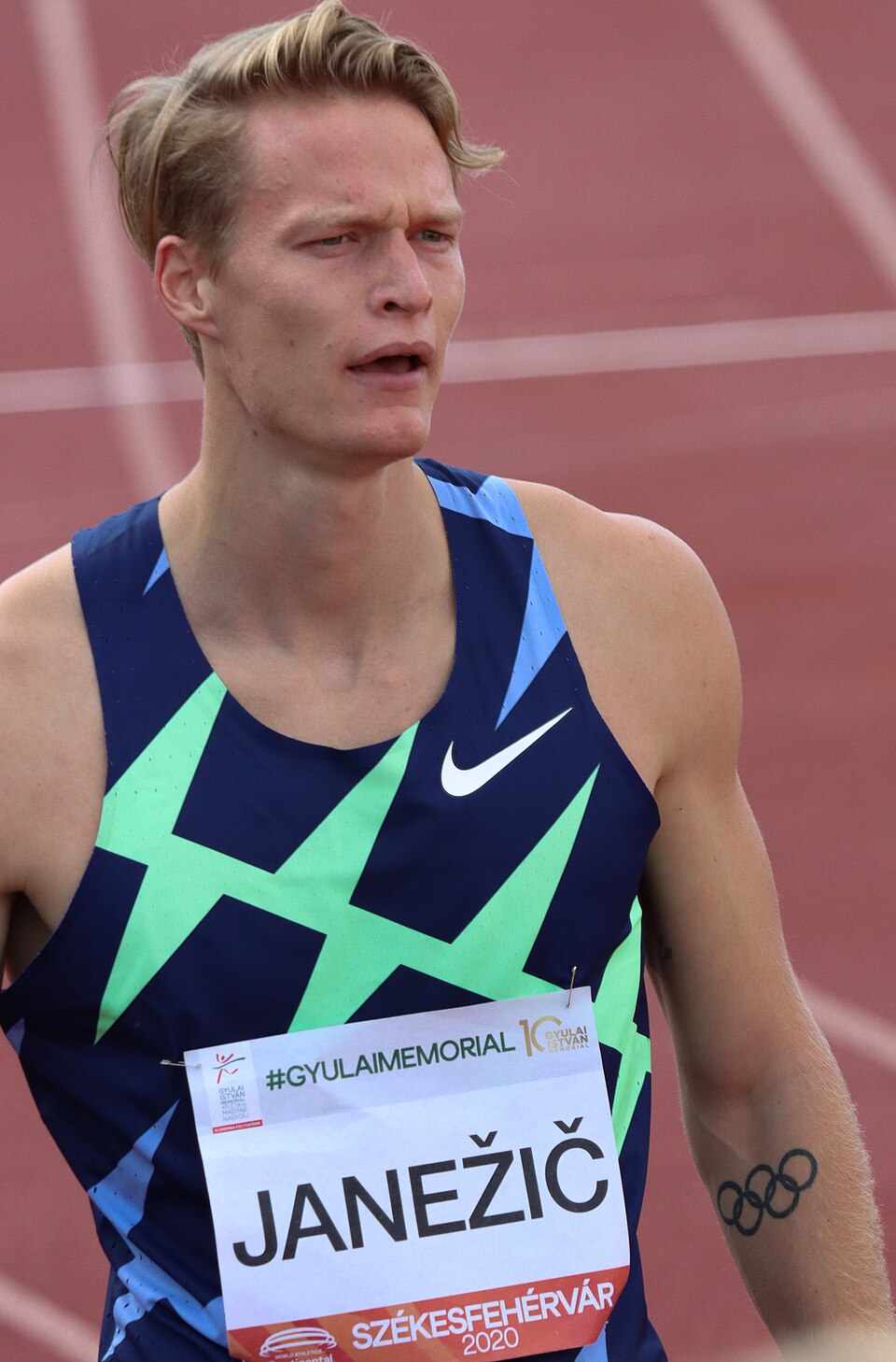 Luka Janežič