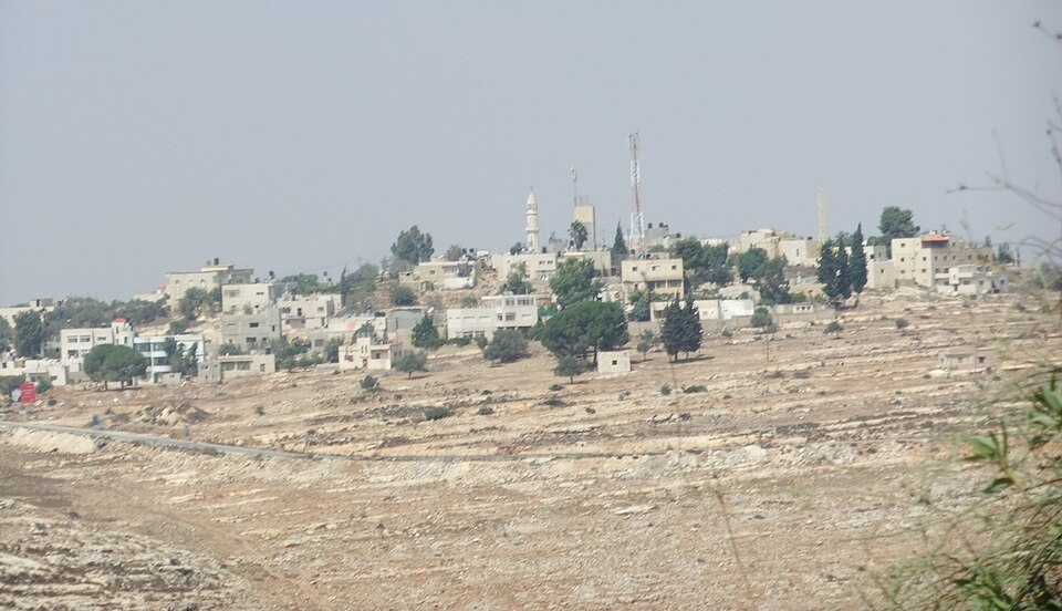 Maan Saleh