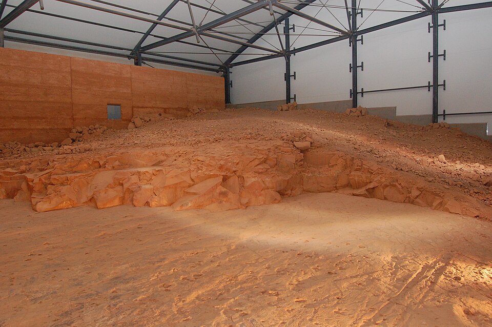 Mackenzie Enchelmaier