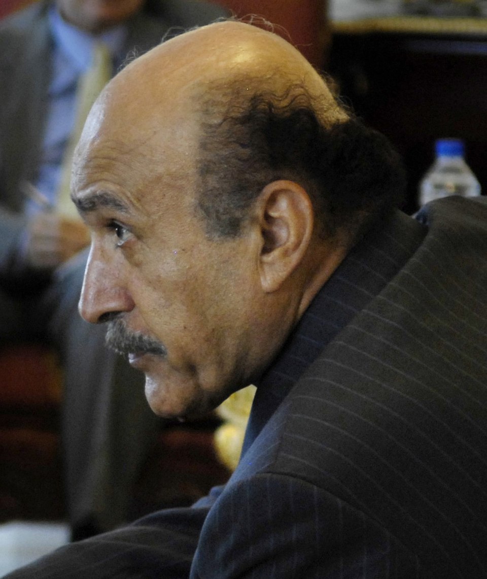 Mahmoud Ahmed Suleiman