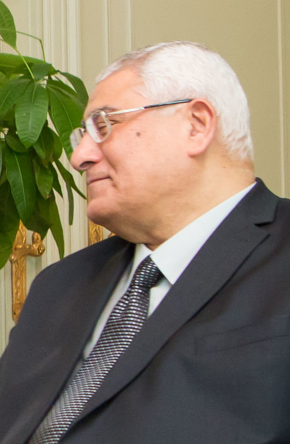 Mahmoud Mohamed Mansour