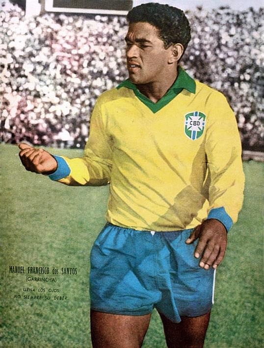Manoel Francisco dos Santos